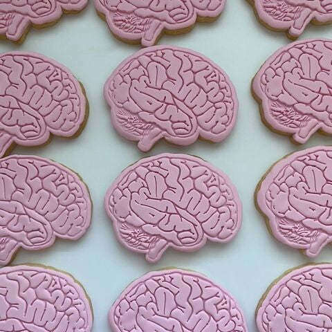 Brain
