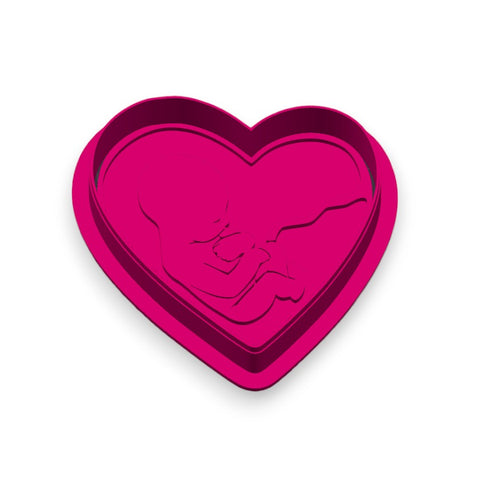 Heart Womb Baby