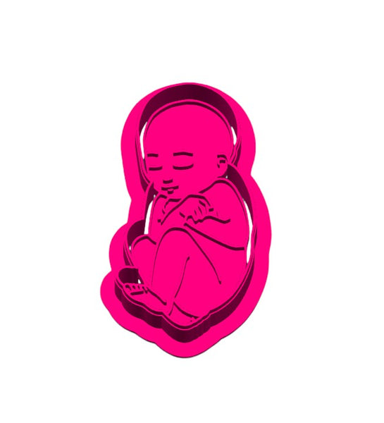 Baby in Womb