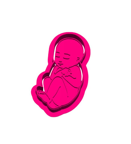 Baby in Womb