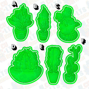 Cactus
