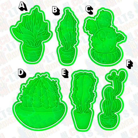 Cactus