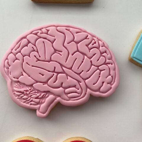 Brain