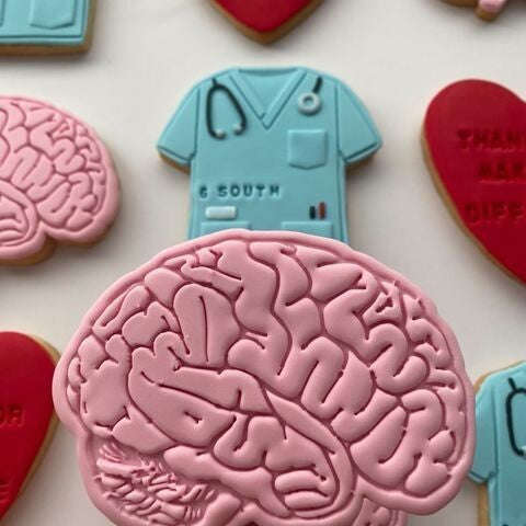 Brain