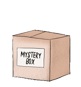 Mystery Box - BOOK WEEK