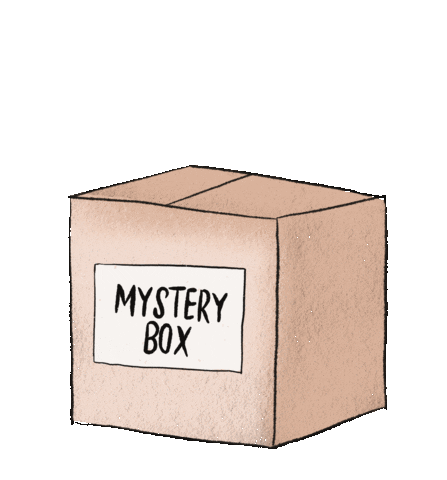 Mystery Box - BOOK WEEK